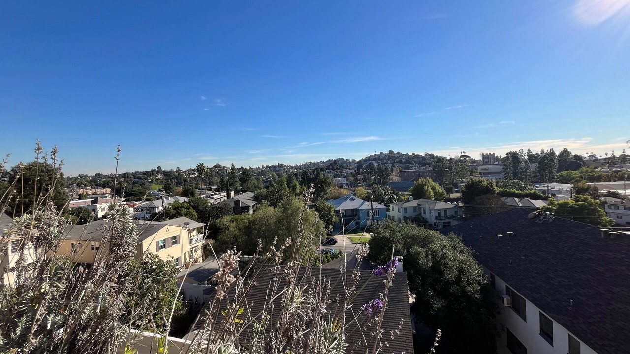 Photo of Others in Los Feliz