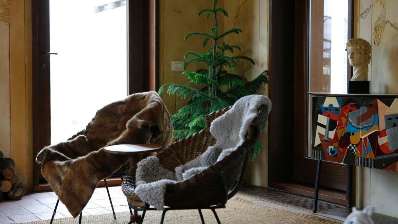 Photo of Livingroom in Montescudaio