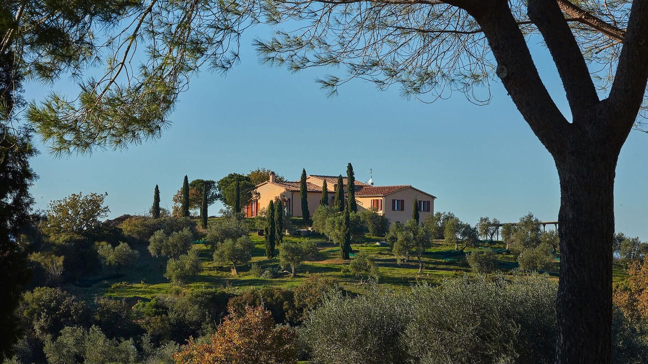 Photo of Others in Grosseto