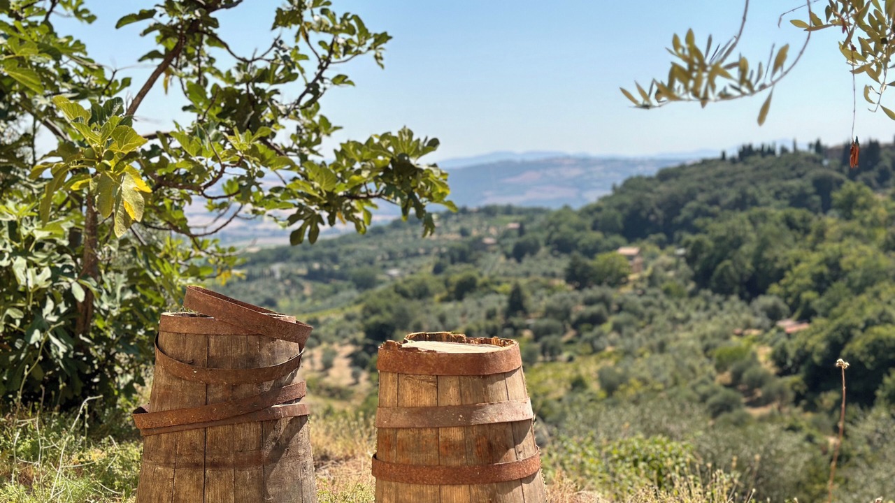 Photo of Others in Montalcino