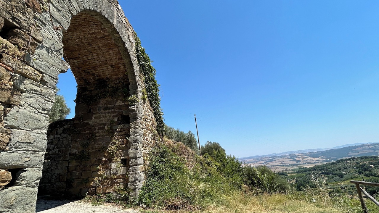 Photo of Others in Montalcino