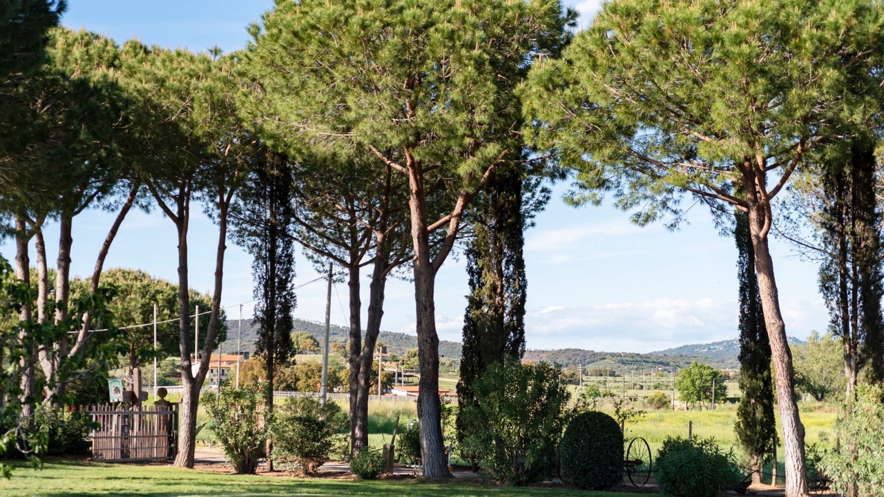 Photo of Others in Castiglione della Pescaia