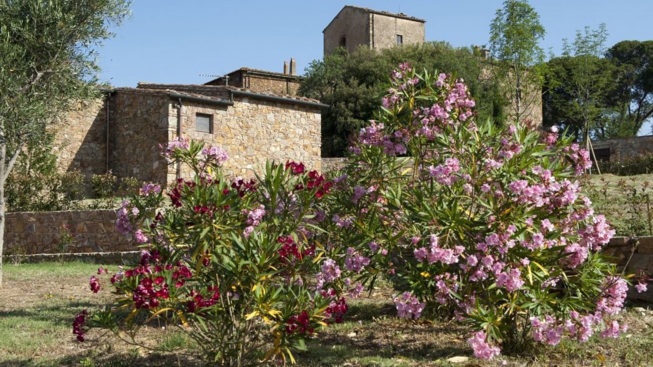 Photo of Outdoor in Casalappi