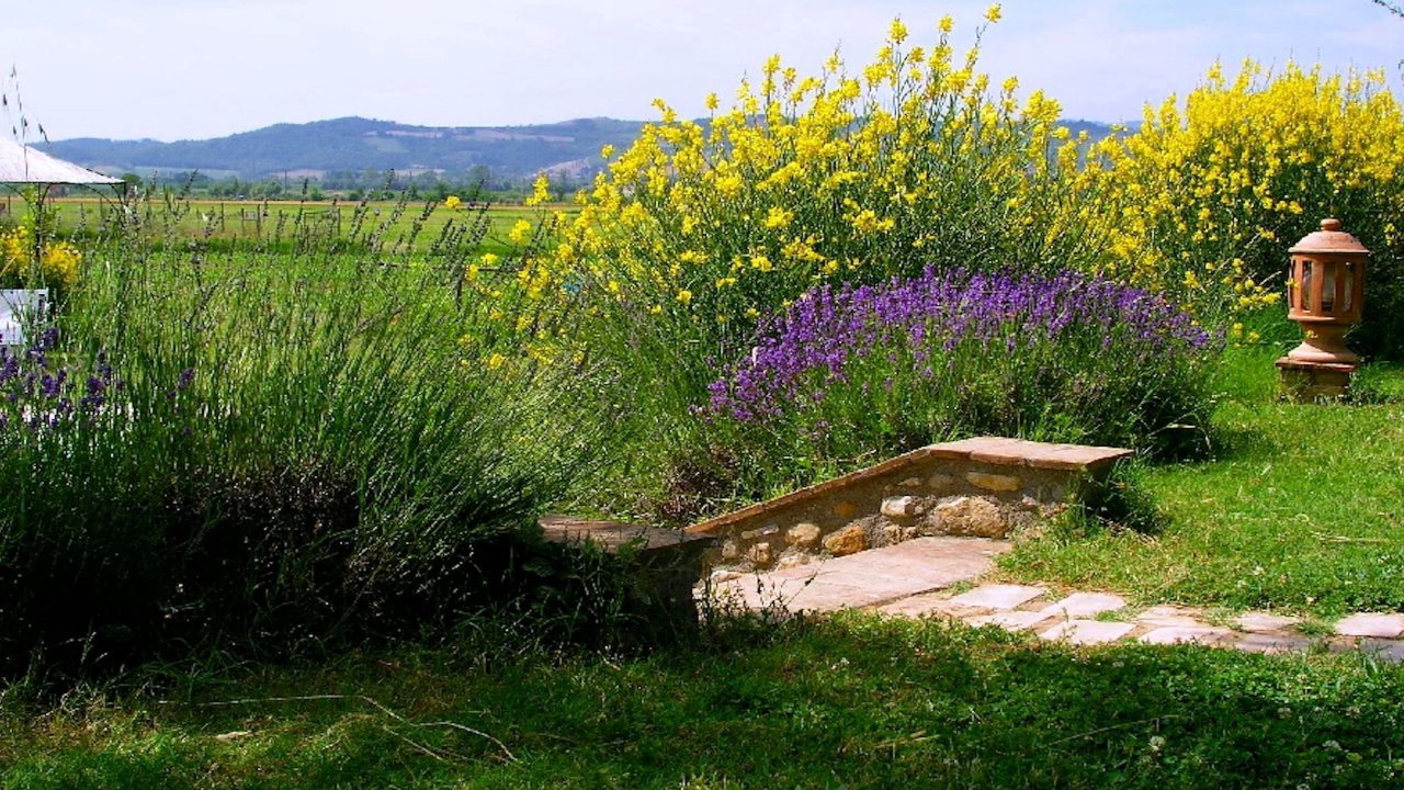 Photo of Outdoor in Monteleone d'Orvieto