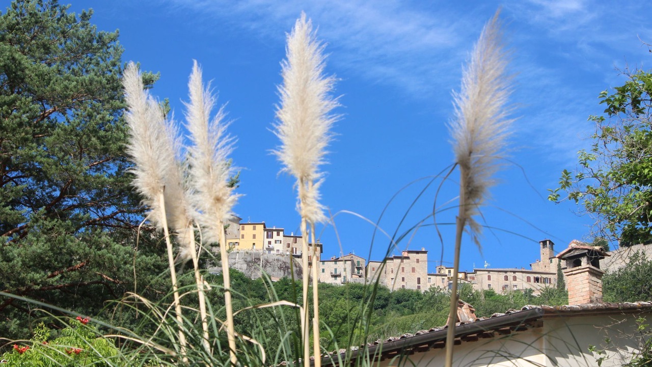 Photo of Others in Montone