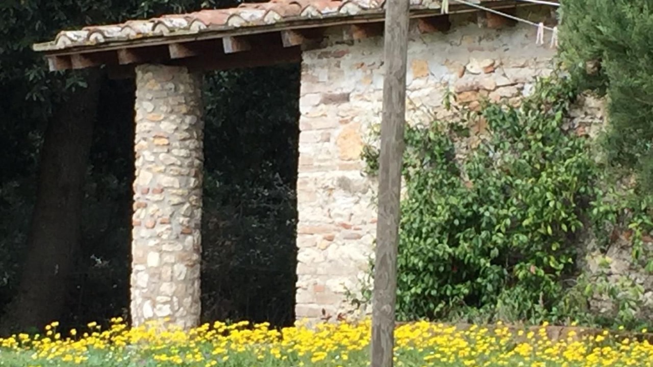 Photo of Outdoor in Amelia