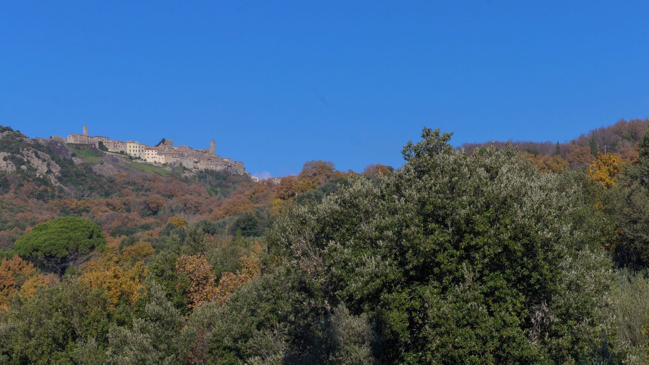 Photo of Others in Roccastrada