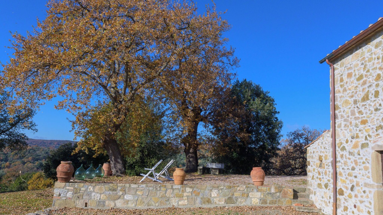 Photo of Others in Roccastrada