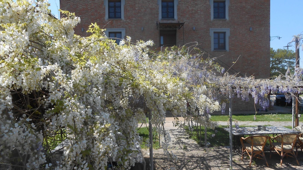 Photo of Others in Castiglione del Lago