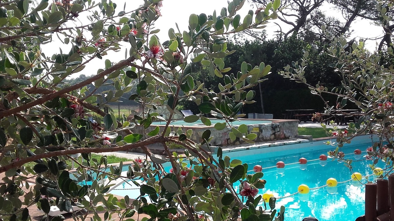 Photo of Outdoor in Castiglione del Lago