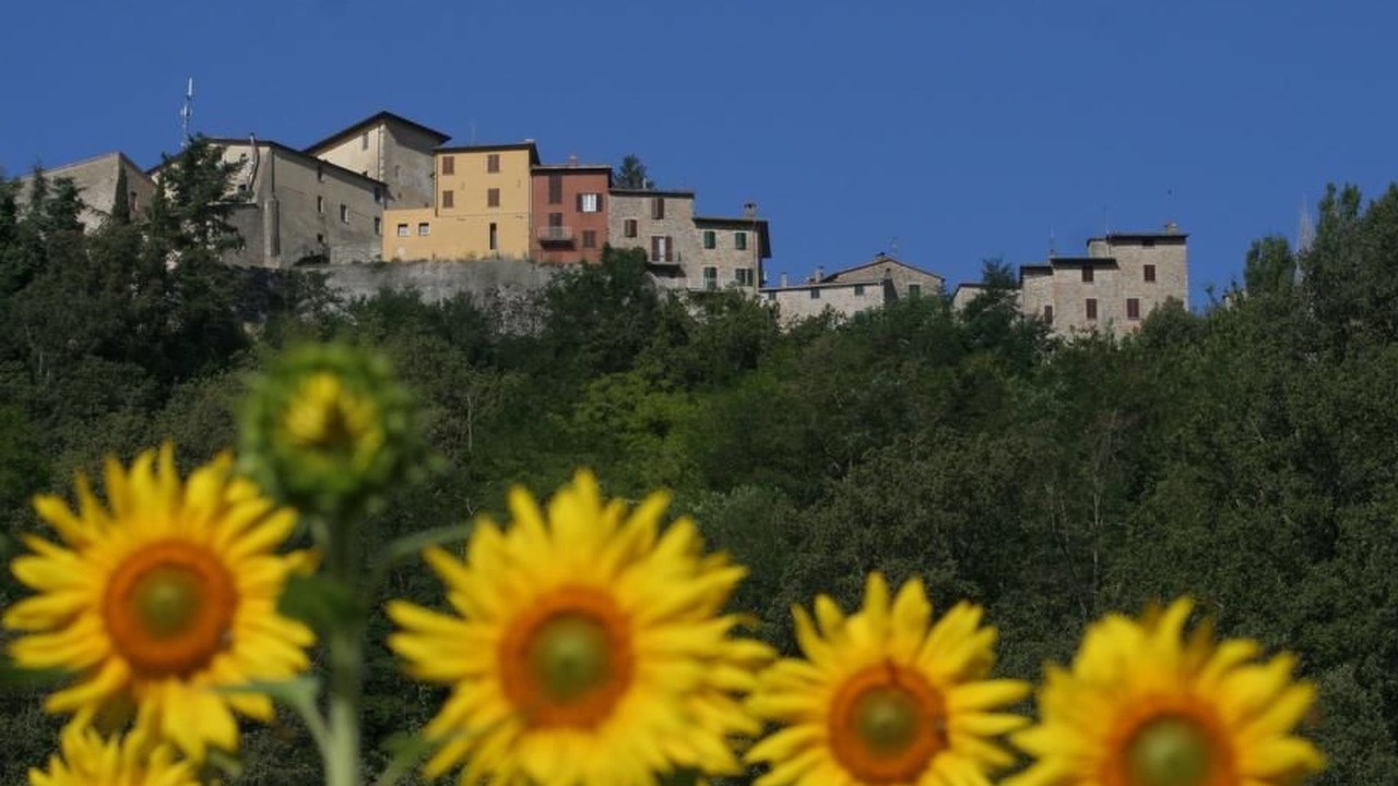 Photo of Others in Montone