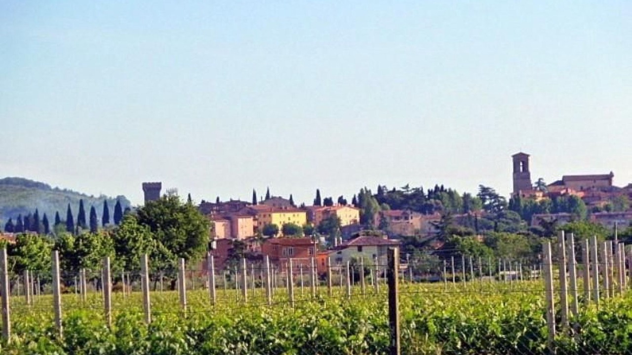 Photo of Others in Torgiano