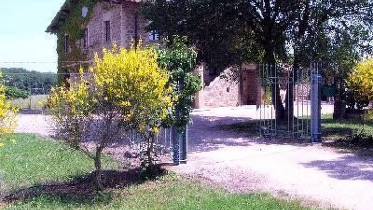 Photo of Others in Torgiano