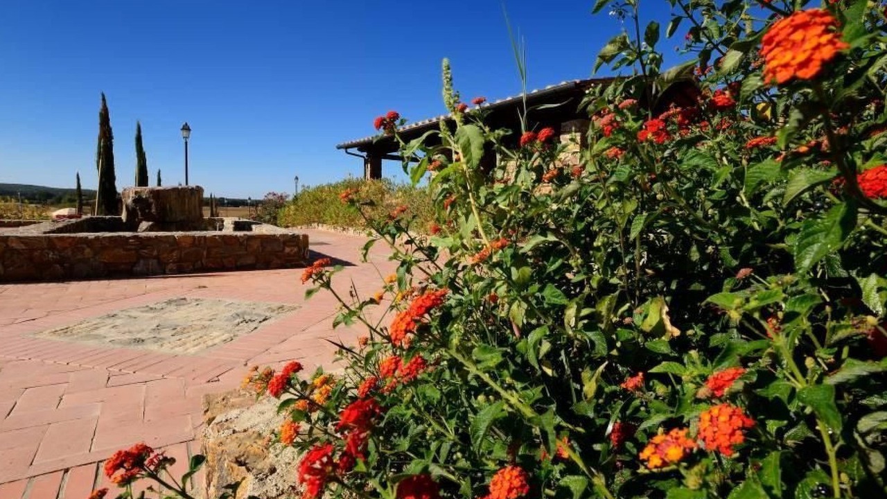 Photo of Outdoor in Casalappi
