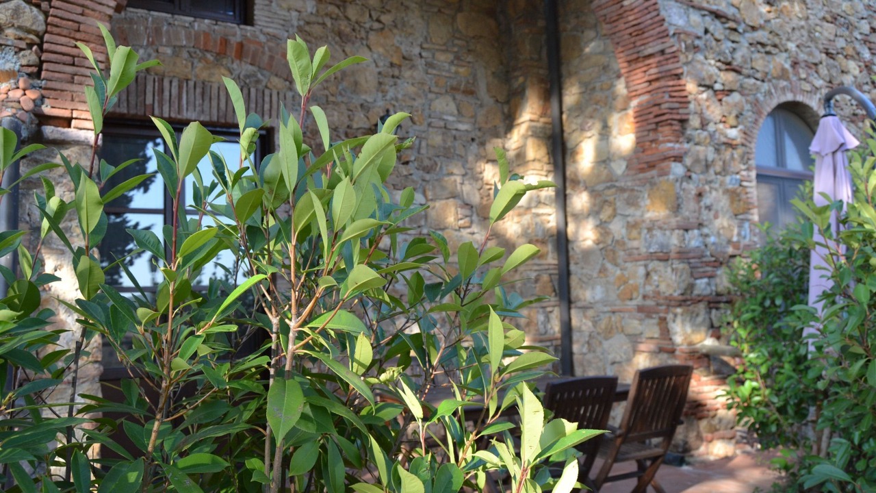 Photo of Others in Casalappi