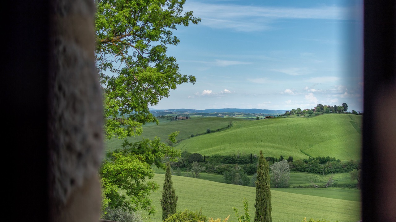 Photo of Others in Monteroni d'Arbia