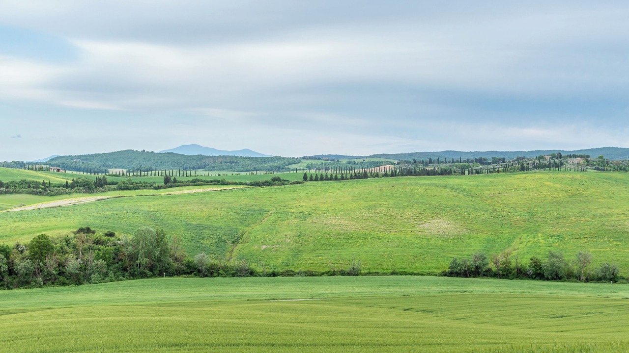 Photo of Others in Monteroni d'Arbia
