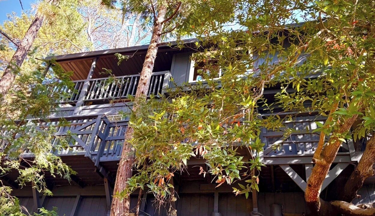 Photo of Outdoor in Cedarpines Park