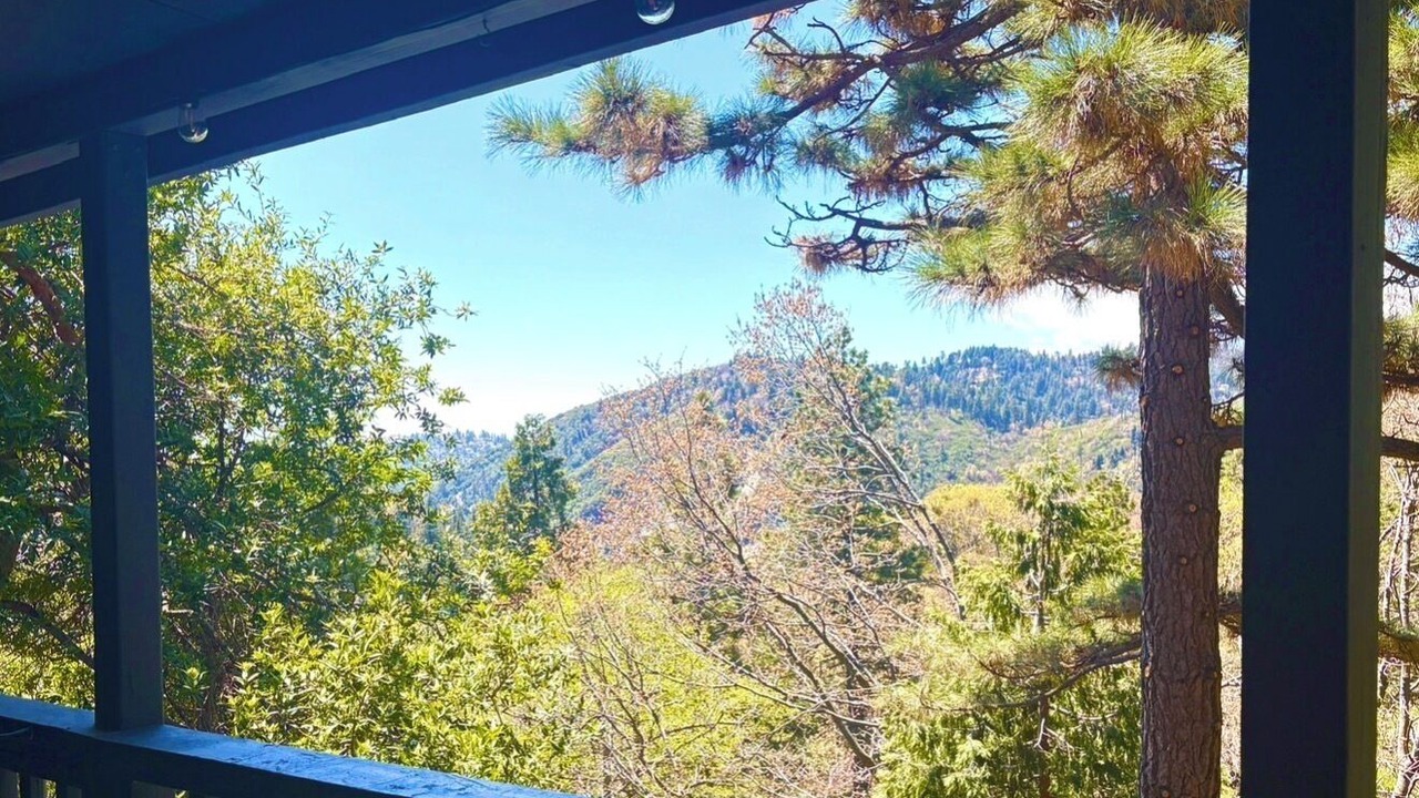 Photo of Outdoor in Cedarpines Park