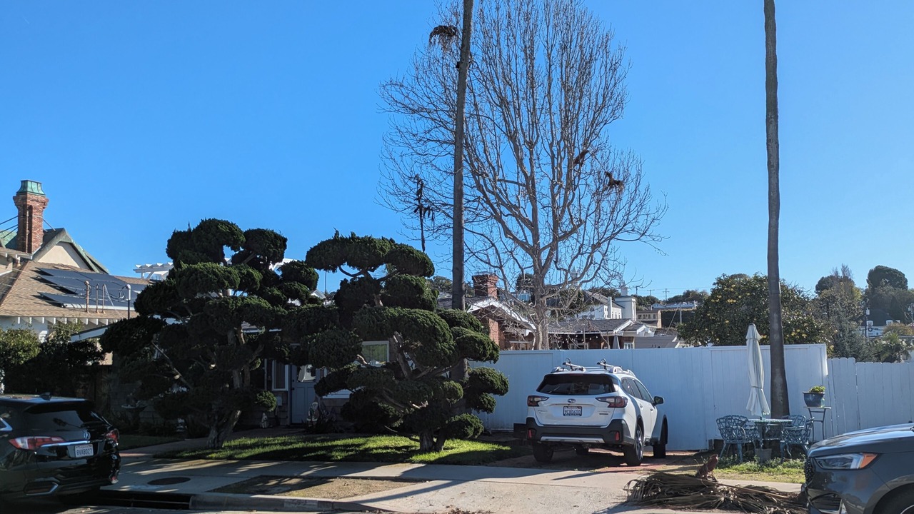 Photo of Outdoor in El Segundo