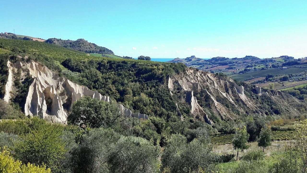 Photo of Others in Monteprandone