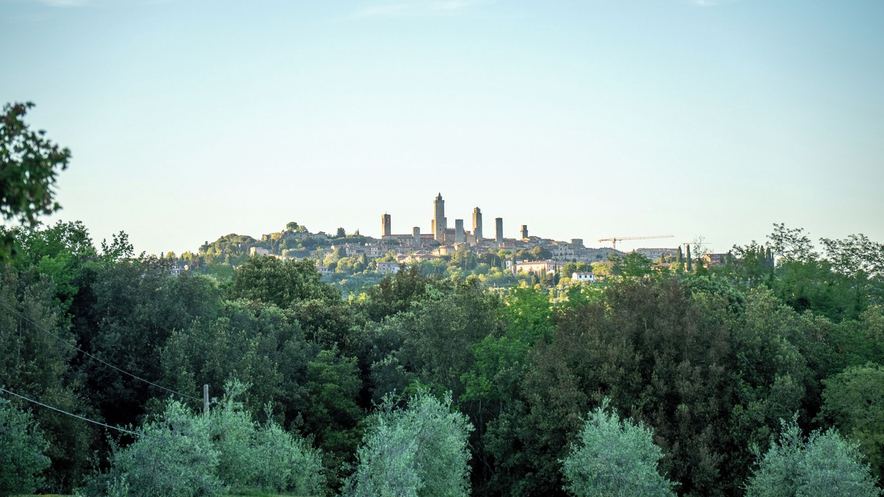 Photo of Others in San Gimignano