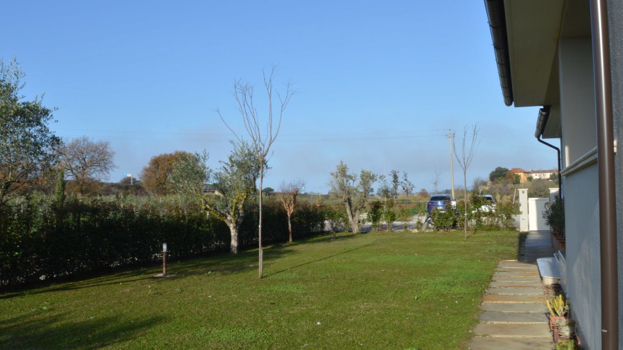 Photo of Others in Montescudaio
