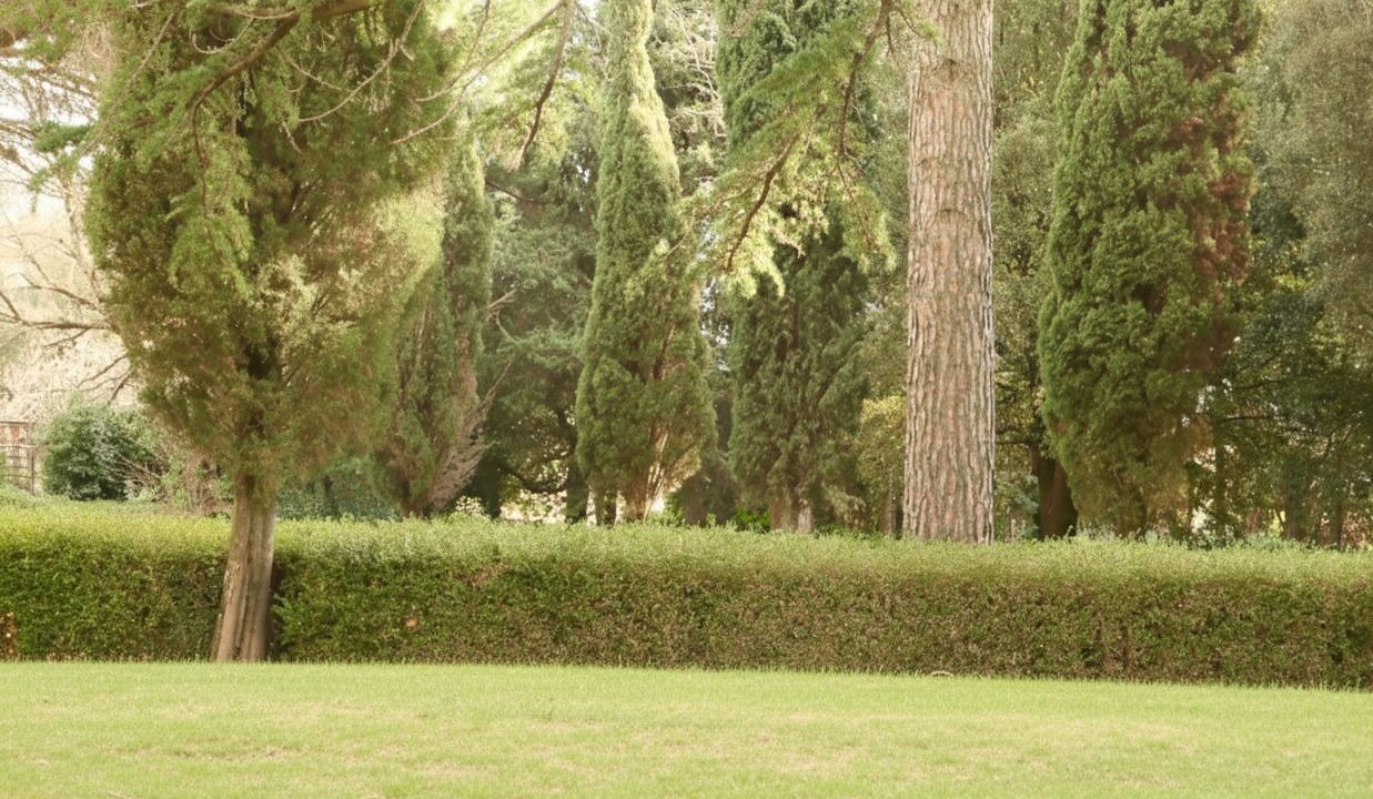 Photo of Outdoor in Castelnuovo di Val di Cecina