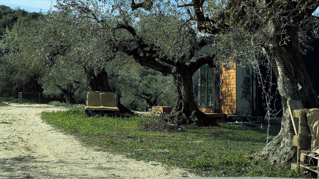 Photo of Outdoor in Citta Sant'Angelo