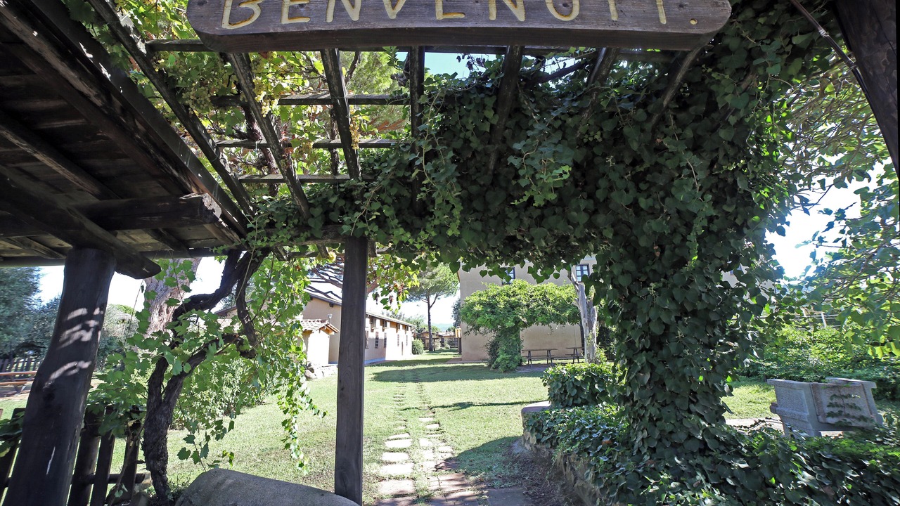 Photo of Outdoor in Bolgheri