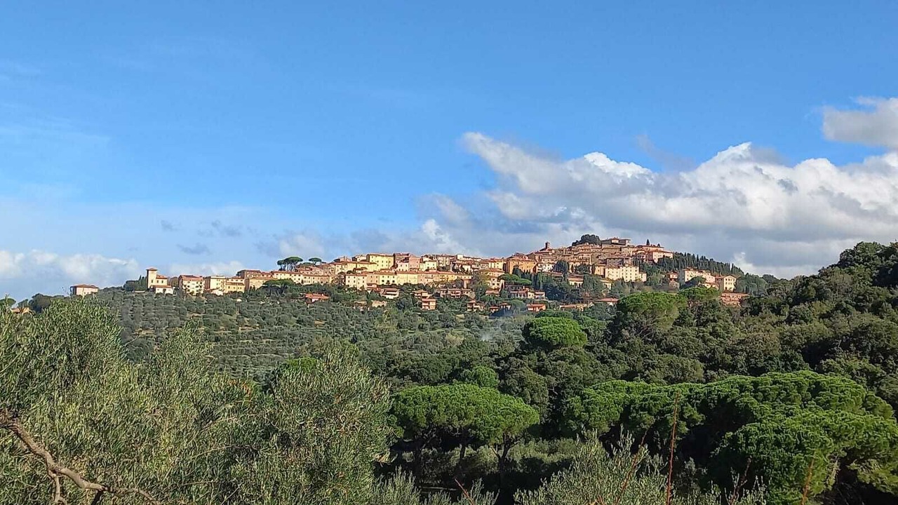 Photo of Others in Bolgheri