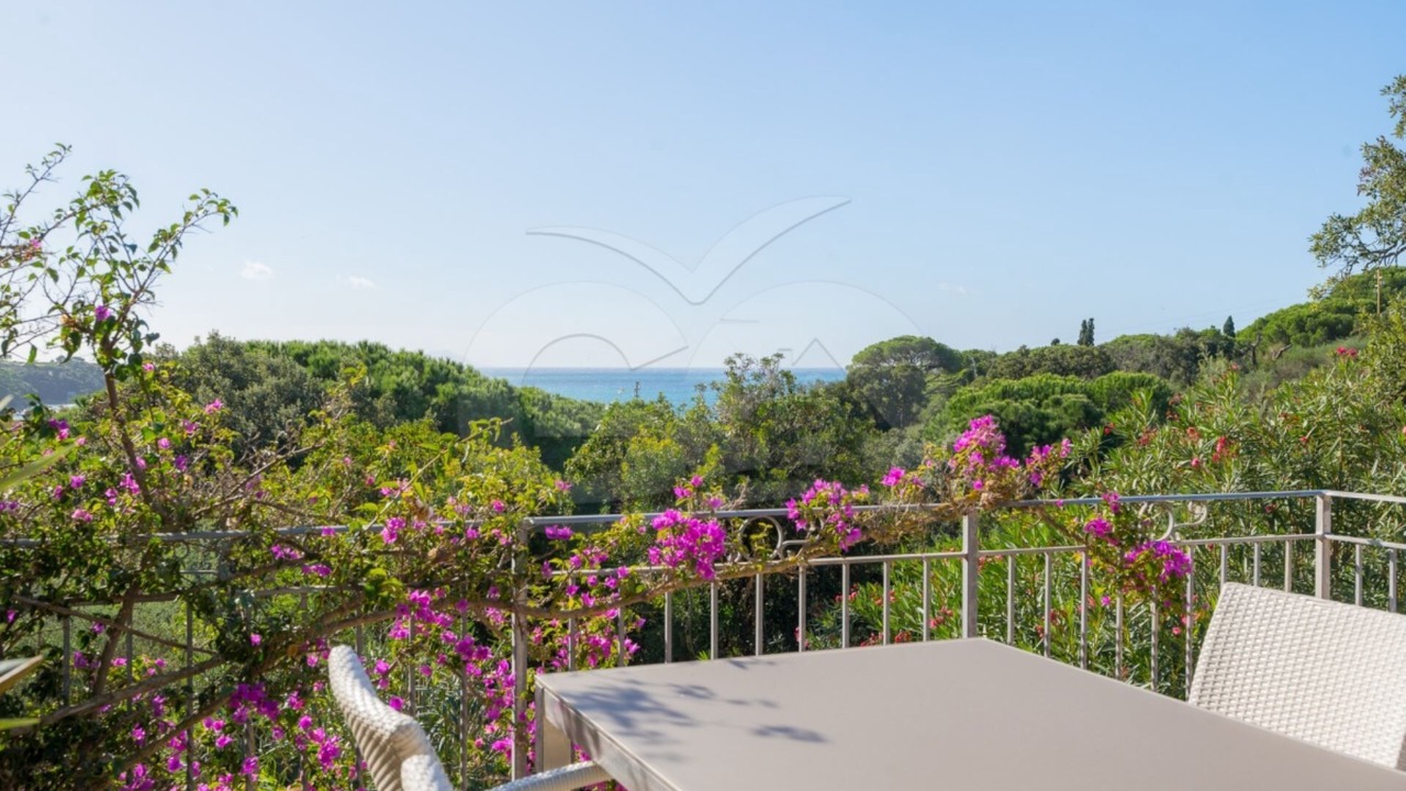Photo of Outdoor in Lido di Capoliveri