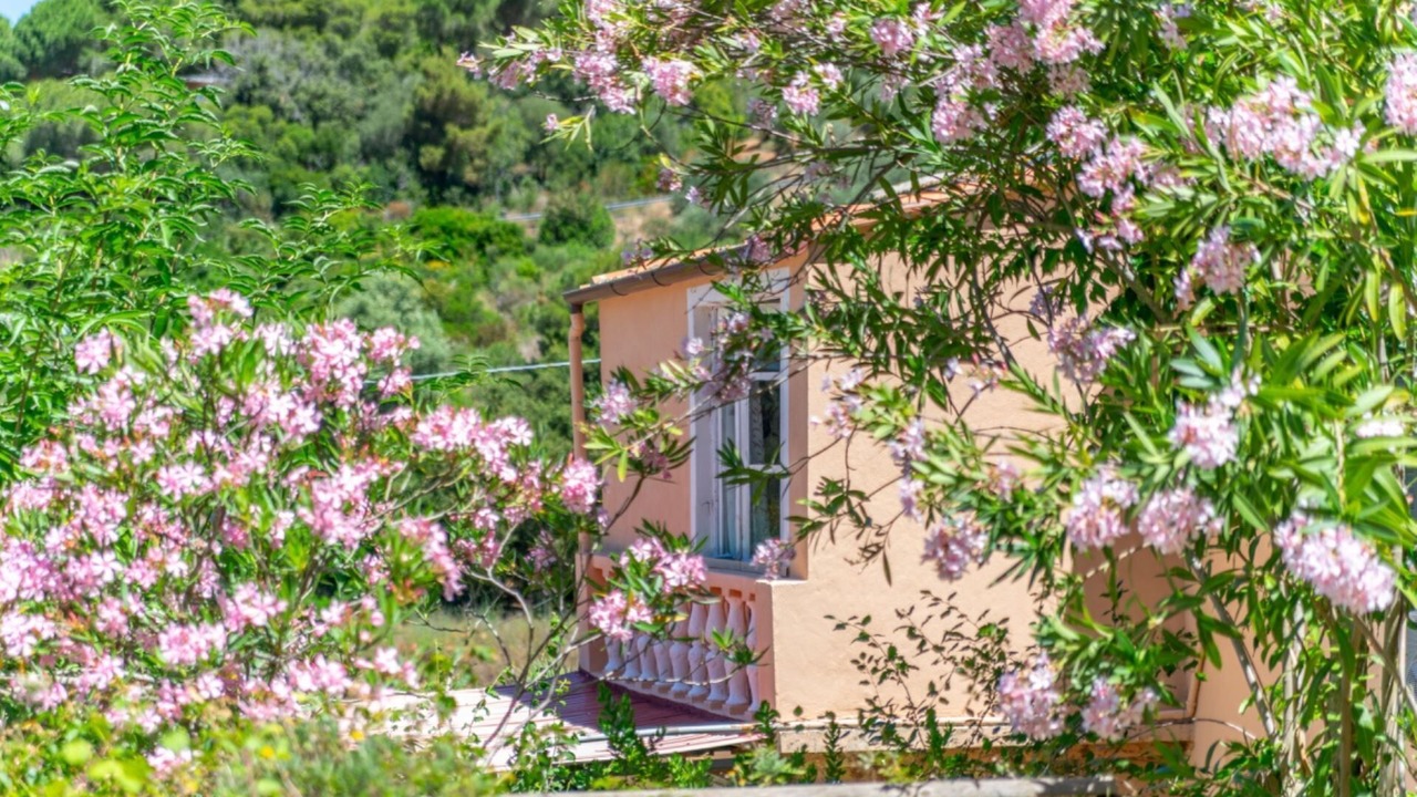 Photo of Outdoor in Magazzini