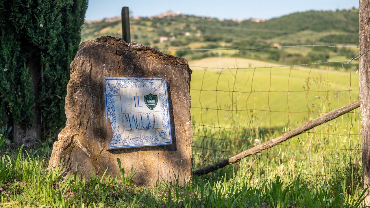 Photo of Outdoor in Manciano