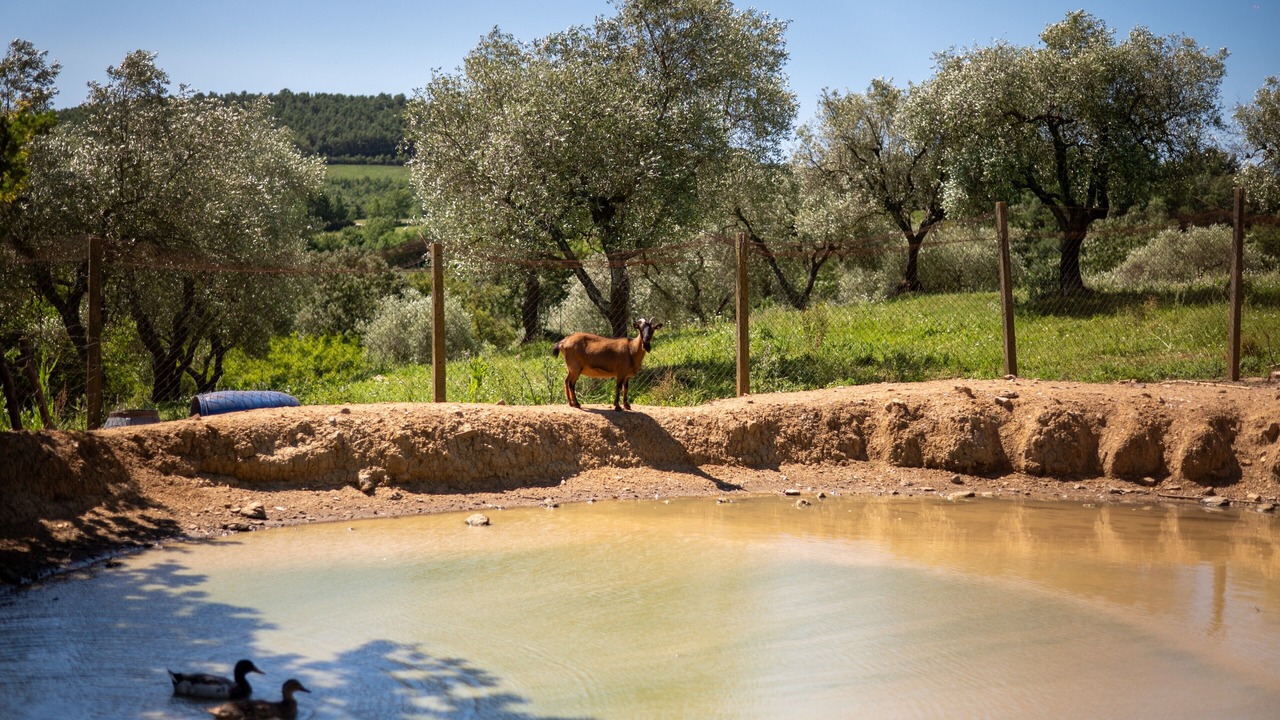 Photo of Others in Manciano