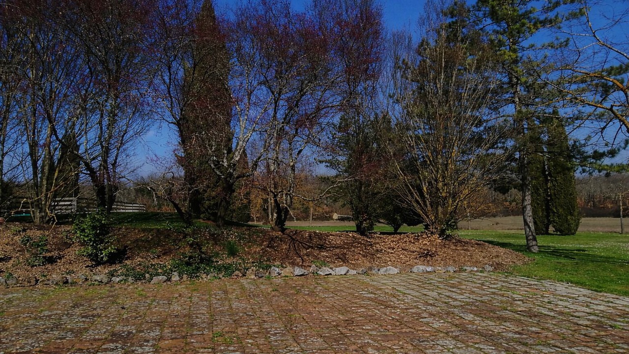 Photo of Outdoor in Colle di Val d'Elsa