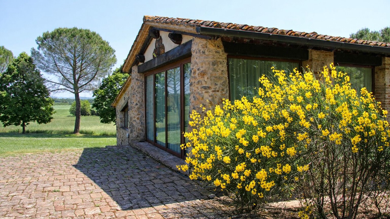 Photo of Outdoor in Colle di Val d'Elsa