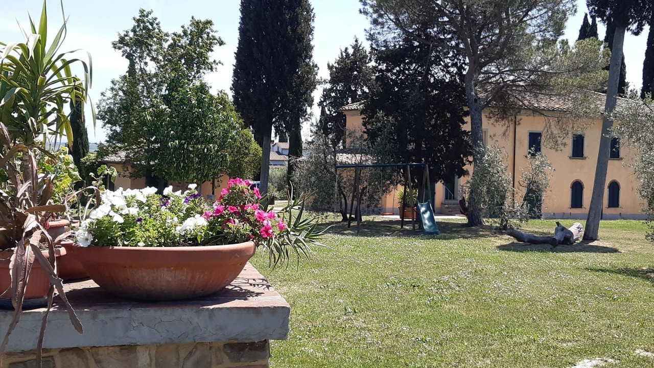Photo of Others in Marciano della Chiana