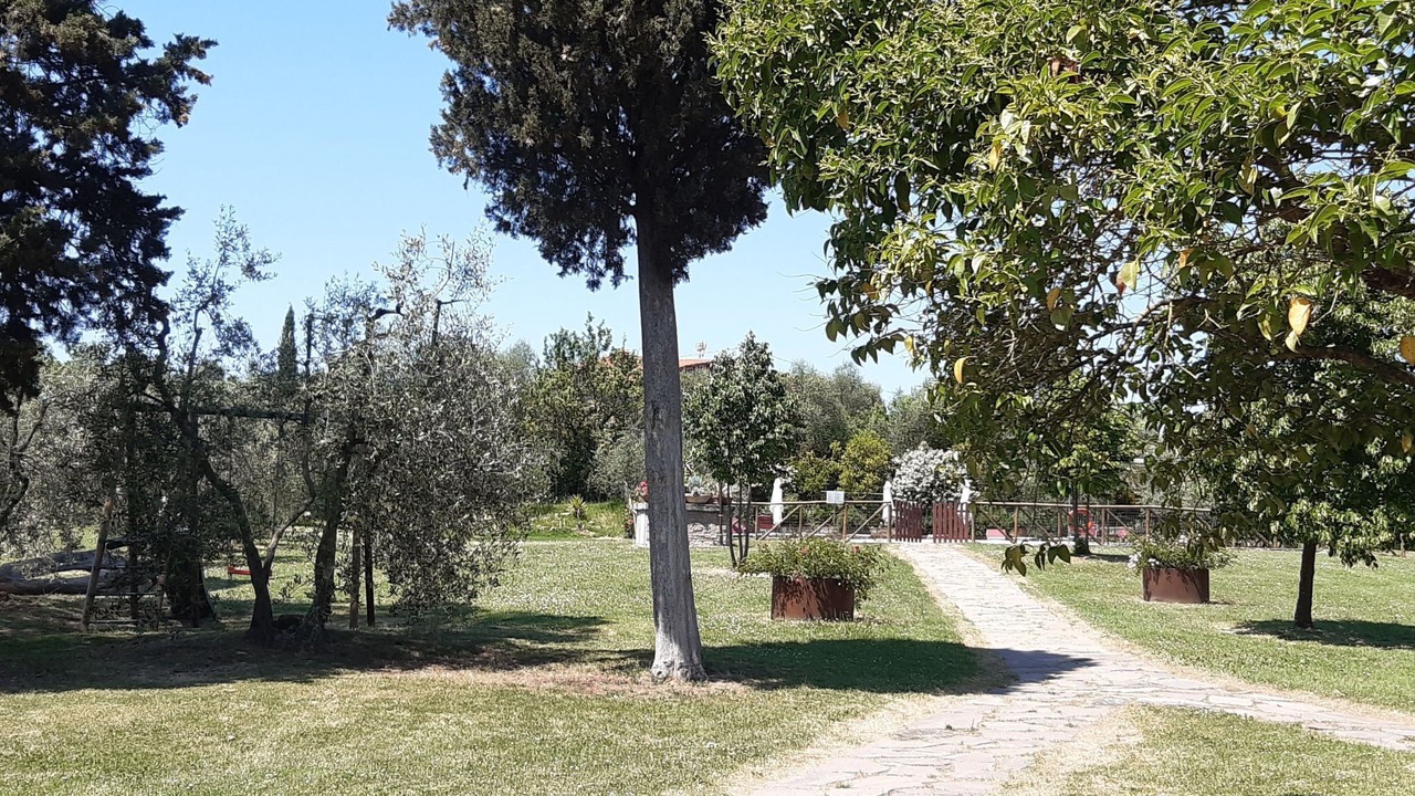 Photo of Others in Marciano della Chiana
