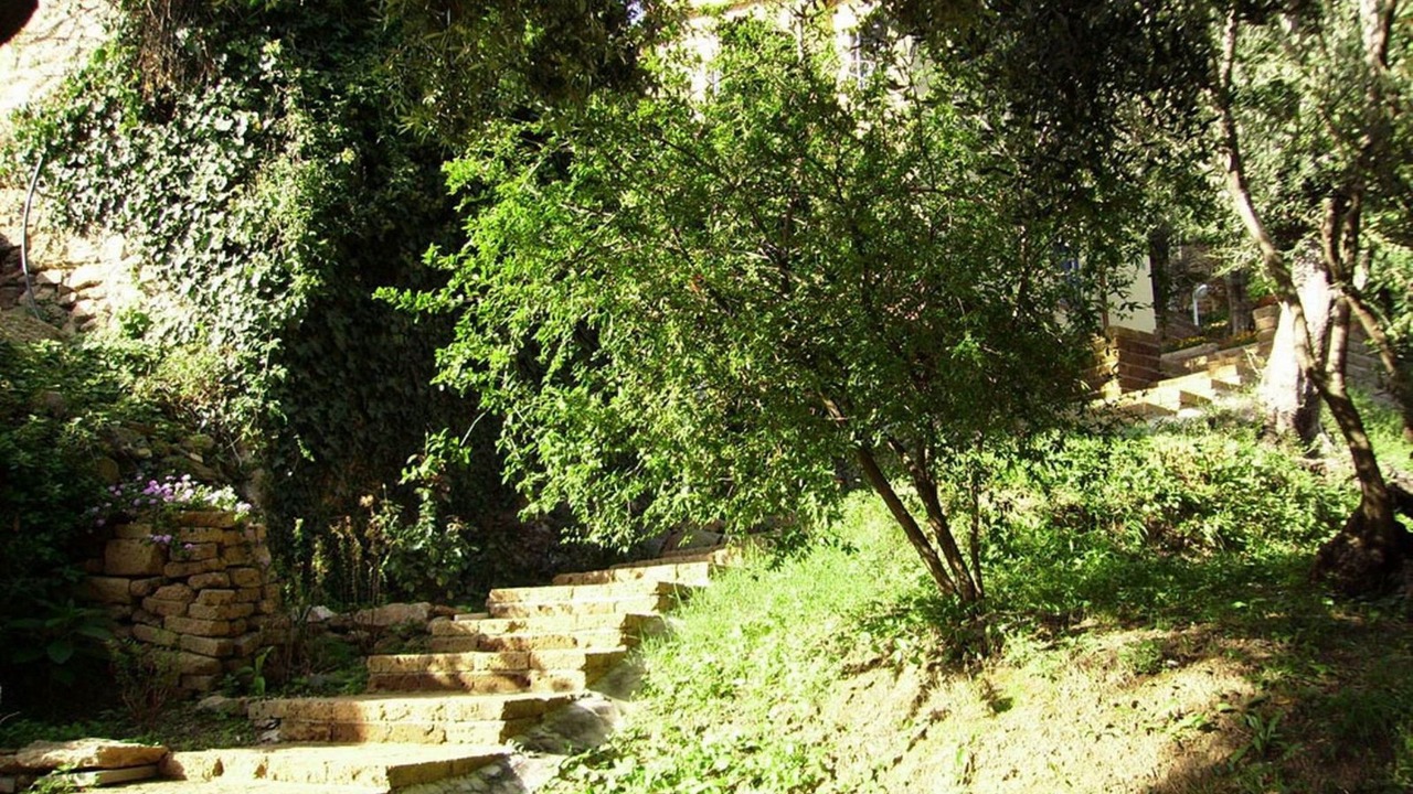 Photo of Others in San Carlo Terme
