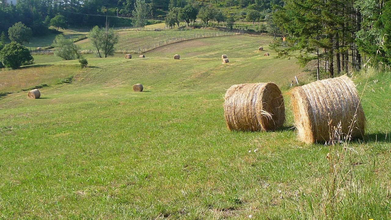 Photo of Others in Pratovecchio