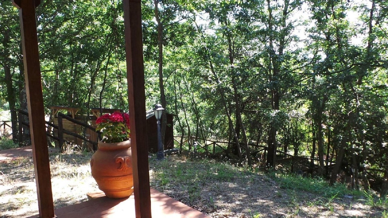 Photo of Outdoor in Monteverdi Marittimo
