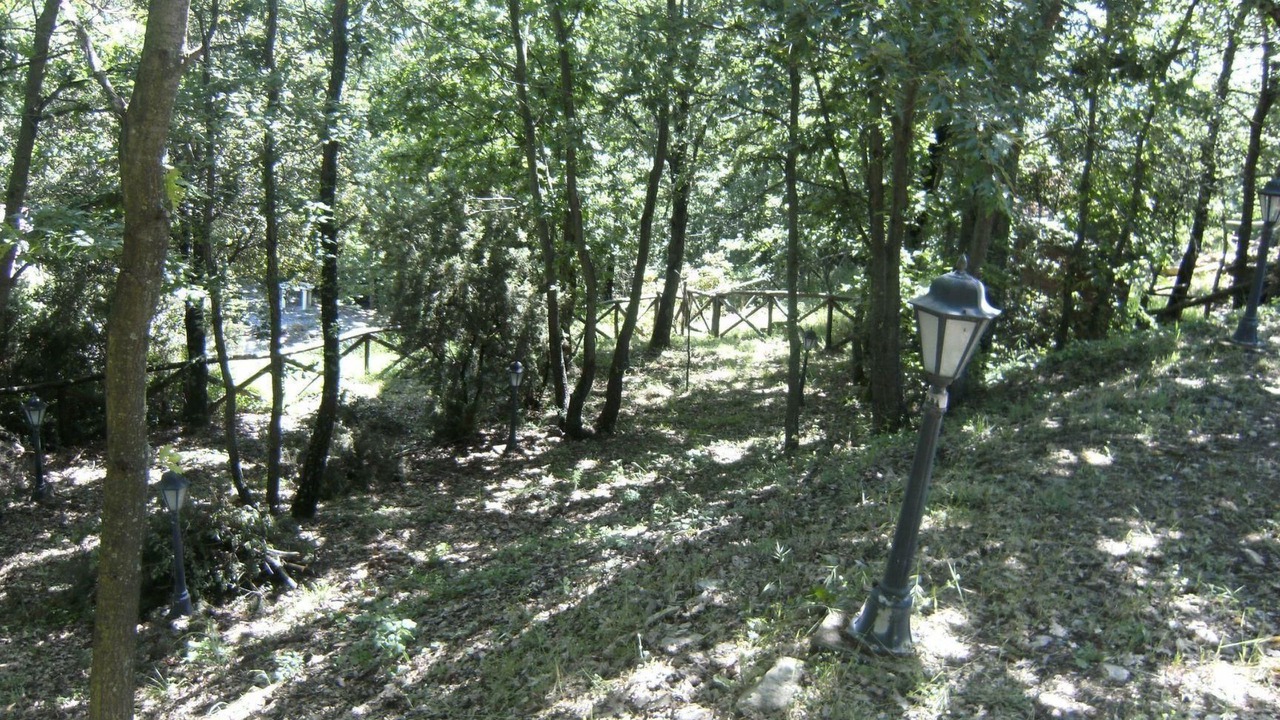 Photo of Outdoor in Monteverdi Marittimo