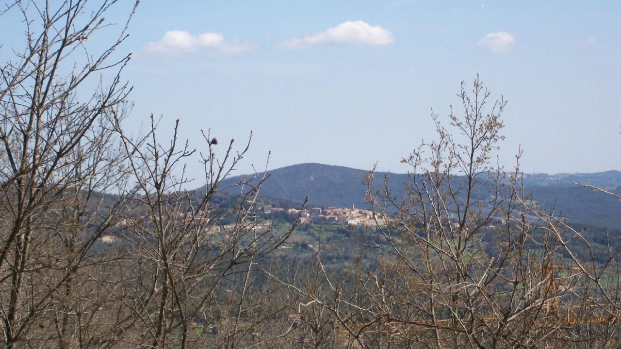 Photo of Others in Monteverdi Marittimo