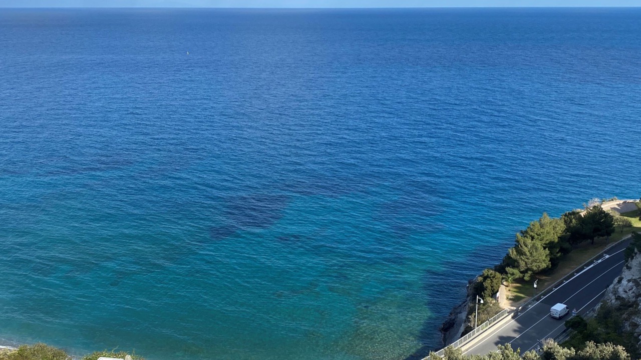 Photo of Others in Torre del Mare