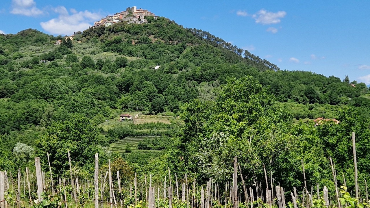 Photo of Others in Aulla