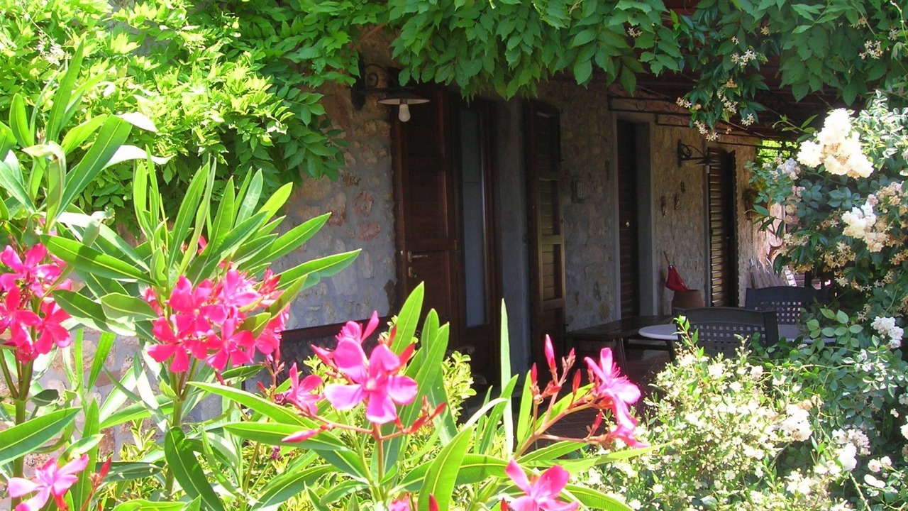 Photo of Others in Castellina Marittima