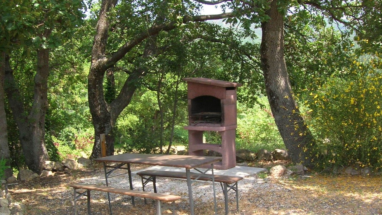 Photo of Others in Castellina Marittima