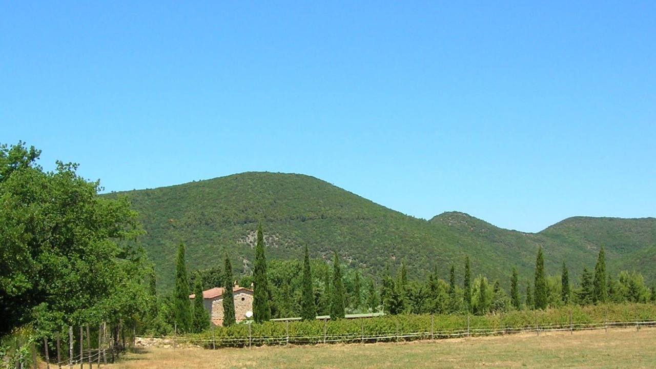 Photo of Others in Castellina Marittima
