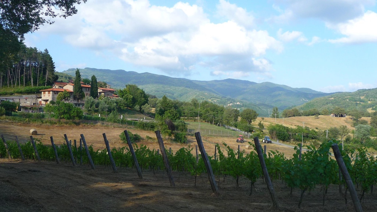 Photo of Others in Pratovecchio